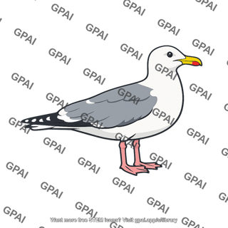 Herring gull