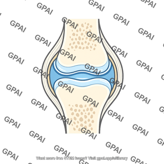 Human joint