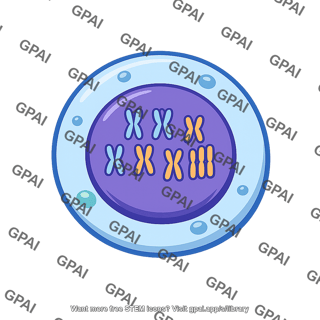 Trisomic cell
