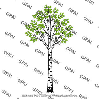 Birch tree