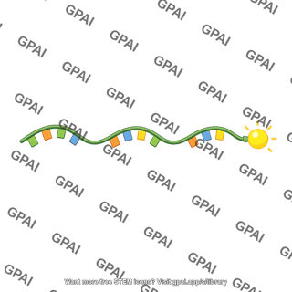 Rna probe