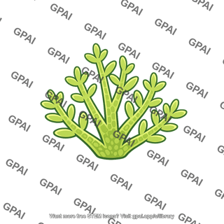 Isomorphic gametophyte