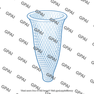 Glass sponge