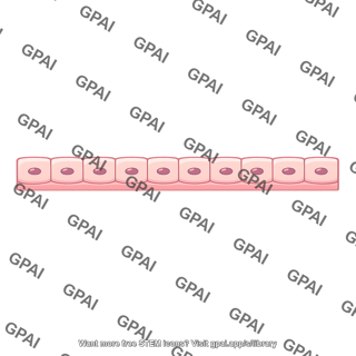 Gill epithelium