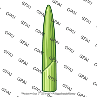 Coleoptile tip