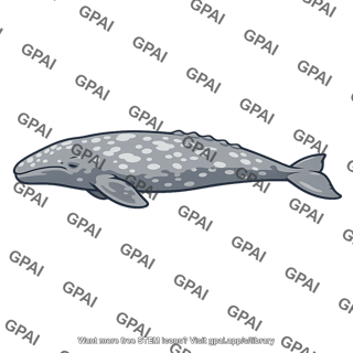 Gray whale