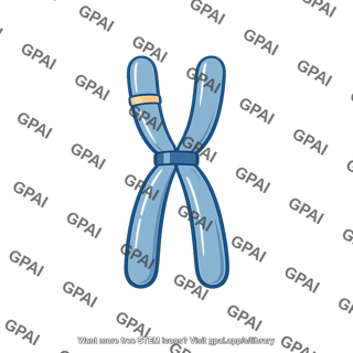 Chromosome centromere like sequence