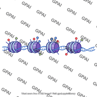 Chromatin modification