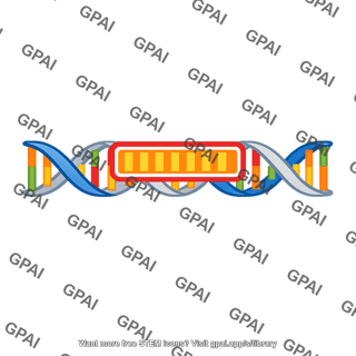Coat protein gene