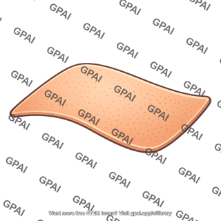 Human skin surface