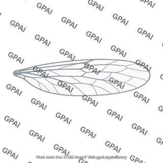 Insect wing oval