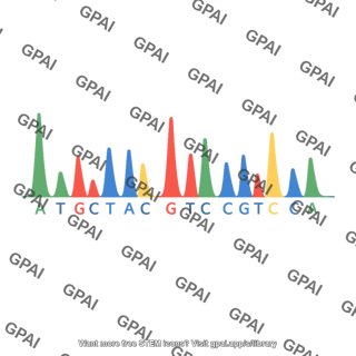 Dna sequencing chromatogram
