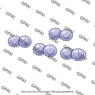 Streptococcus pneumoniae rough