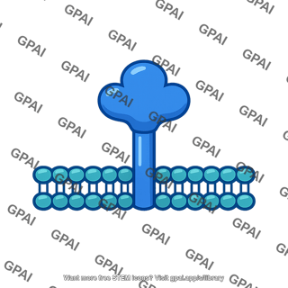 Cell surface molecule