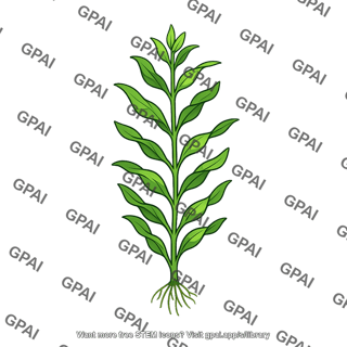 Aquatic plant submerged