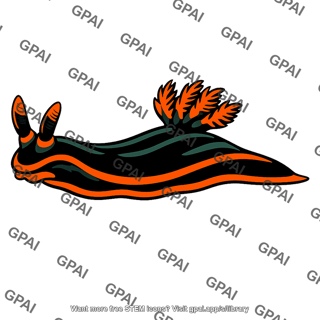 Nembrotha chamberlaini