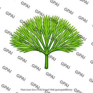 Cabomba leaf
