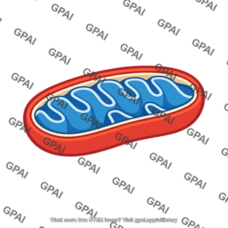 Mitochondrion