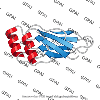 Protein 3d model