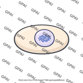 Cell cycle g1