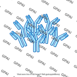 Antibody cluster
