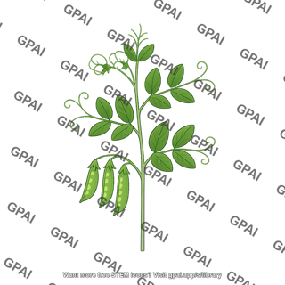 F2 pea plant