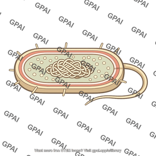 Bacterial cell cutaway