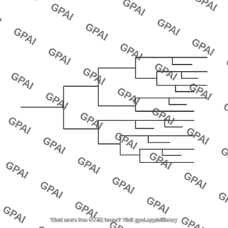 Phylogenetic tree diagram