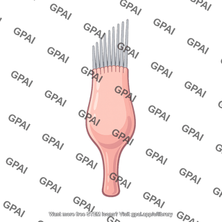 Deshedding brush