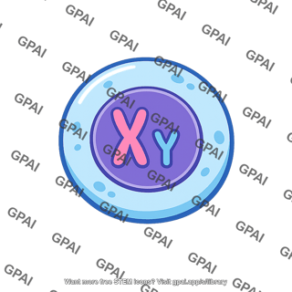Human cell male xy