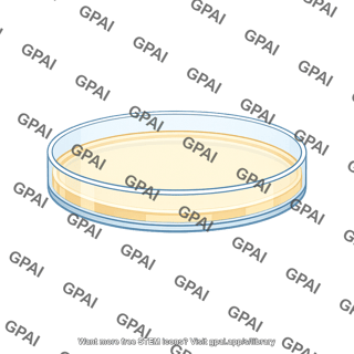 Minimal medium in petri dish