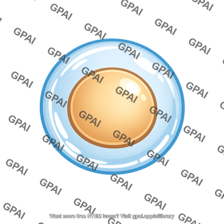 Gelatinous egg coat