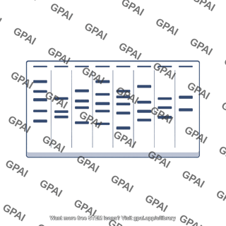 Electrophoresis