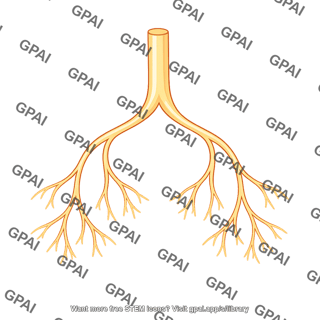 Bundle branch