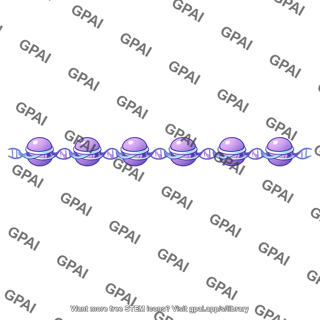 Dna 10 nm fiber