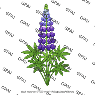 Lupine