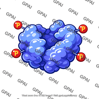 P53 protein active
