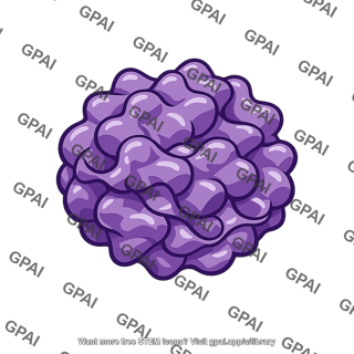 Globular protein