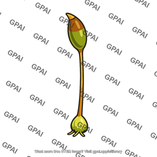 Sporophyte bryophyte