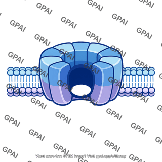 Protein pore