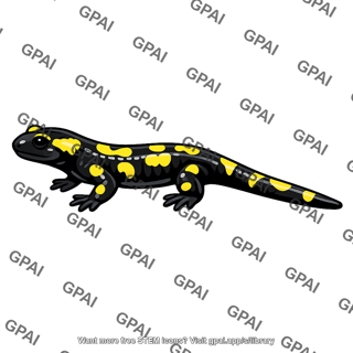 European fire salamander