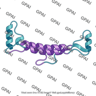 Protein ribbon structure