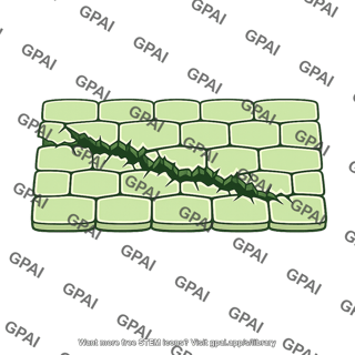 Plant epidermis damaged