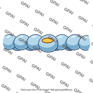 Myosin binding site