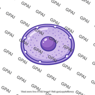 Fungal nucleus