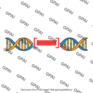 Dna deletion site