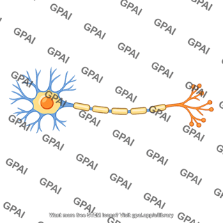 Neuron