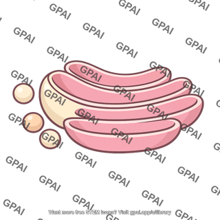 Cis face golgi apparatus