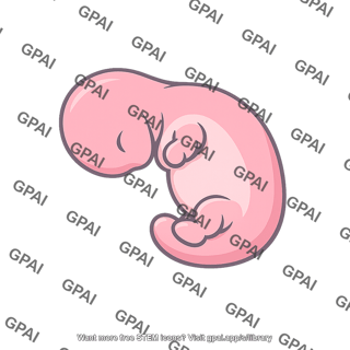 Human embryo