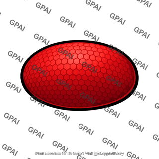 Fruit fly eye red